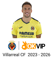 Biểu tượng đội ngũ chuyên nghiệp Gà 6789