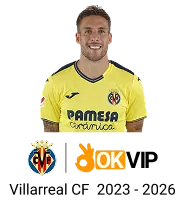 Biểu tượng đội ngũ chuyên nghiệp Gà 6789