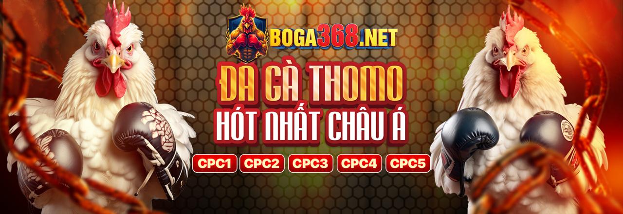 Trường gà trực tiếp gà 6789 với chất lượng phát sóng cao