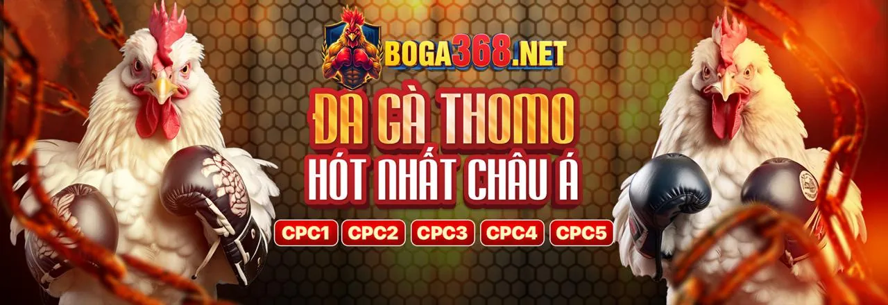 Trường gà trực tiếp gà 6789 với chất lượng phát sóng cao